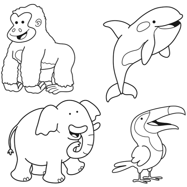 Animals coloring